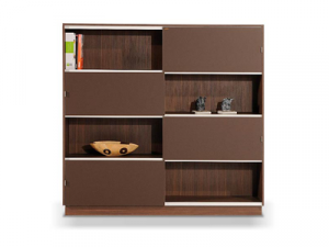 Bookcase and Binder Storage